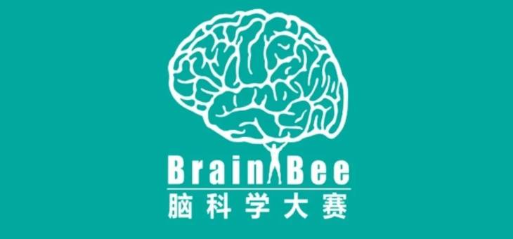 高中生物组2024年brainbee脑科学地区活动获奖名单出炉