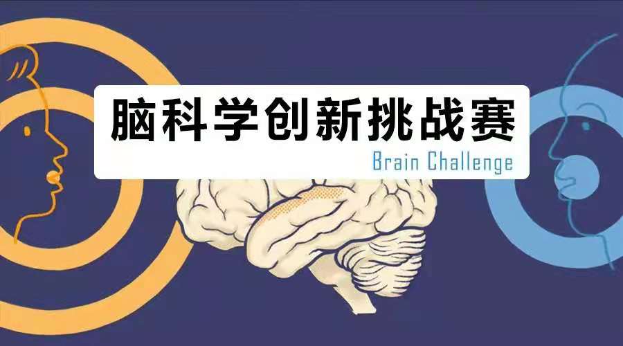 国际部学生在脑科学创新挑战赛中取得佳绩